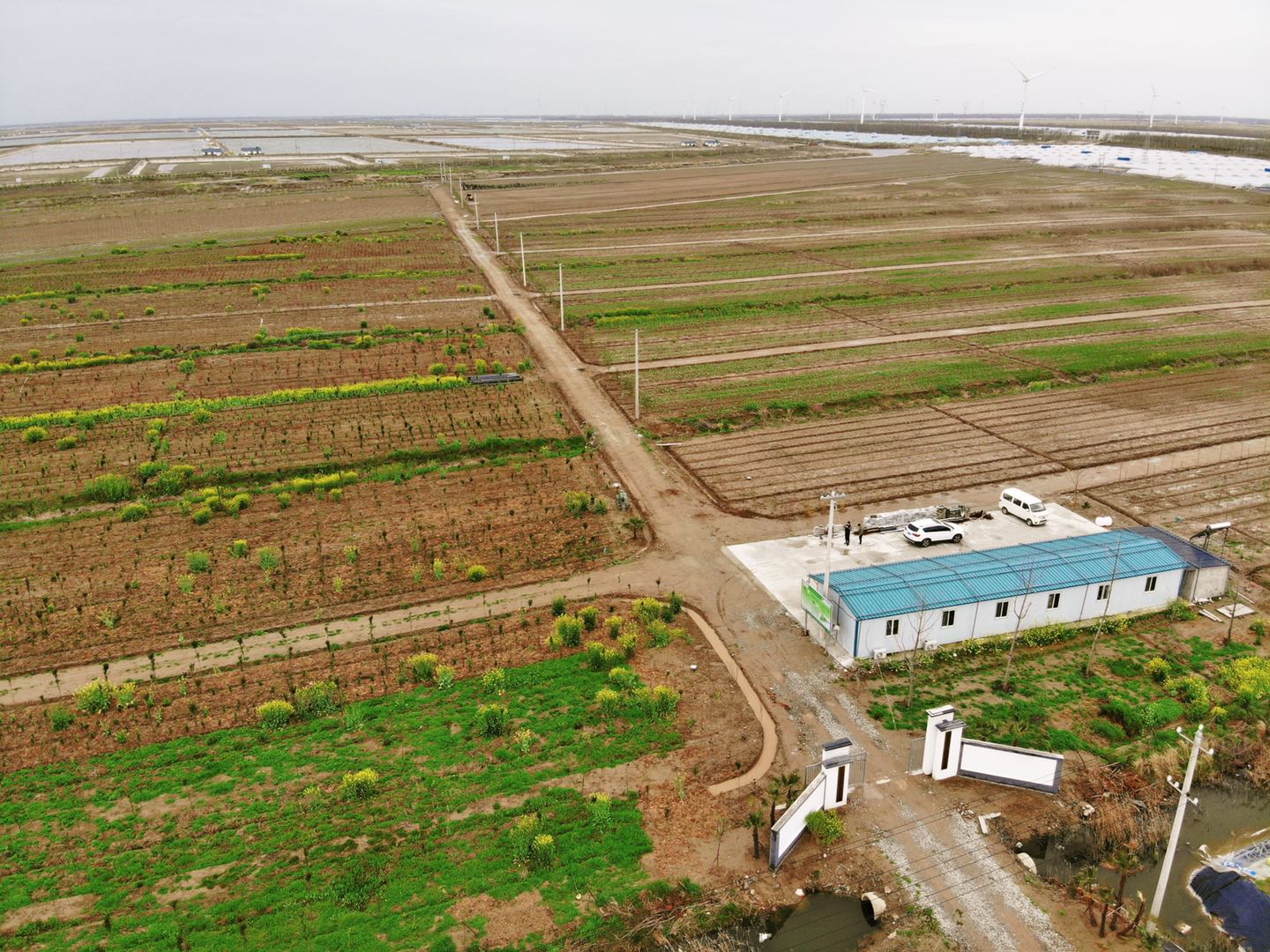 江蘇永威東臺鹽堿地適生植物儲備基地春日煥發生機